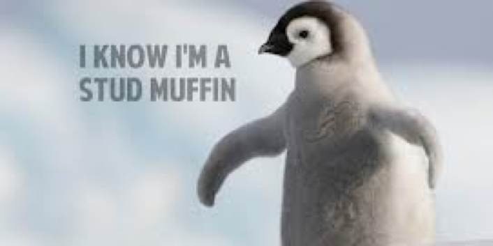 CMDPenguin's profile banner image