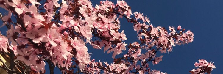 hsrtgnlts's profile banner image