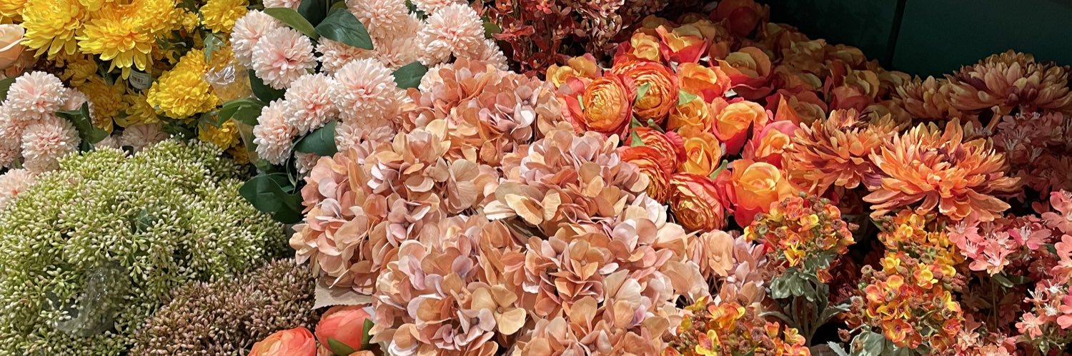 Prinutnut's profile banner image