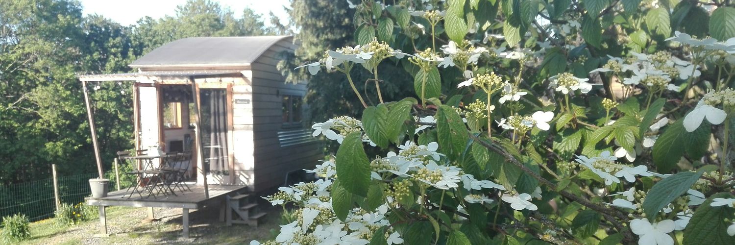 tinyhouse50's profile banner image