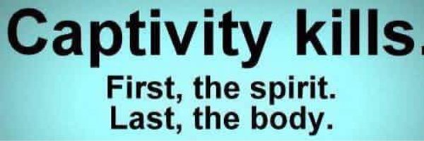 kazbolsmith Profile Banner