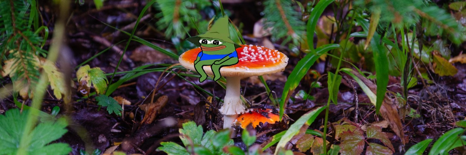 gfts 🧙‍♂️🪄 banner