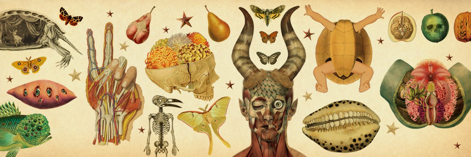 artofmarabelle's profile banner image