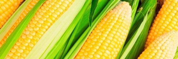 milhonara Profile Banner