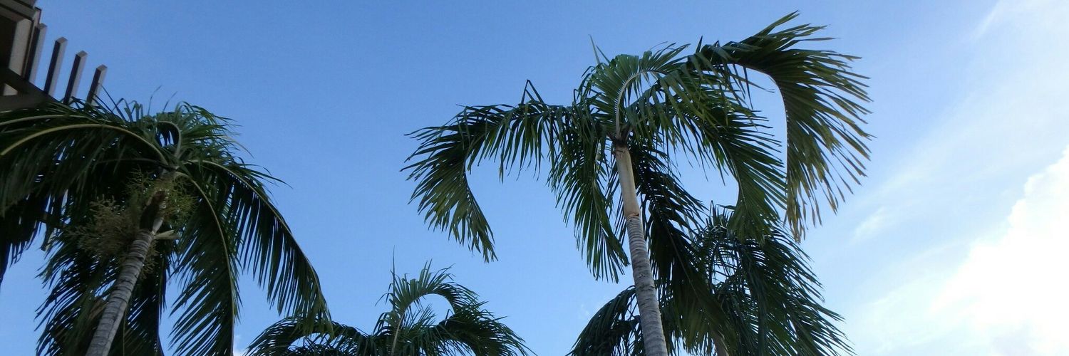 __say18's profile banner image