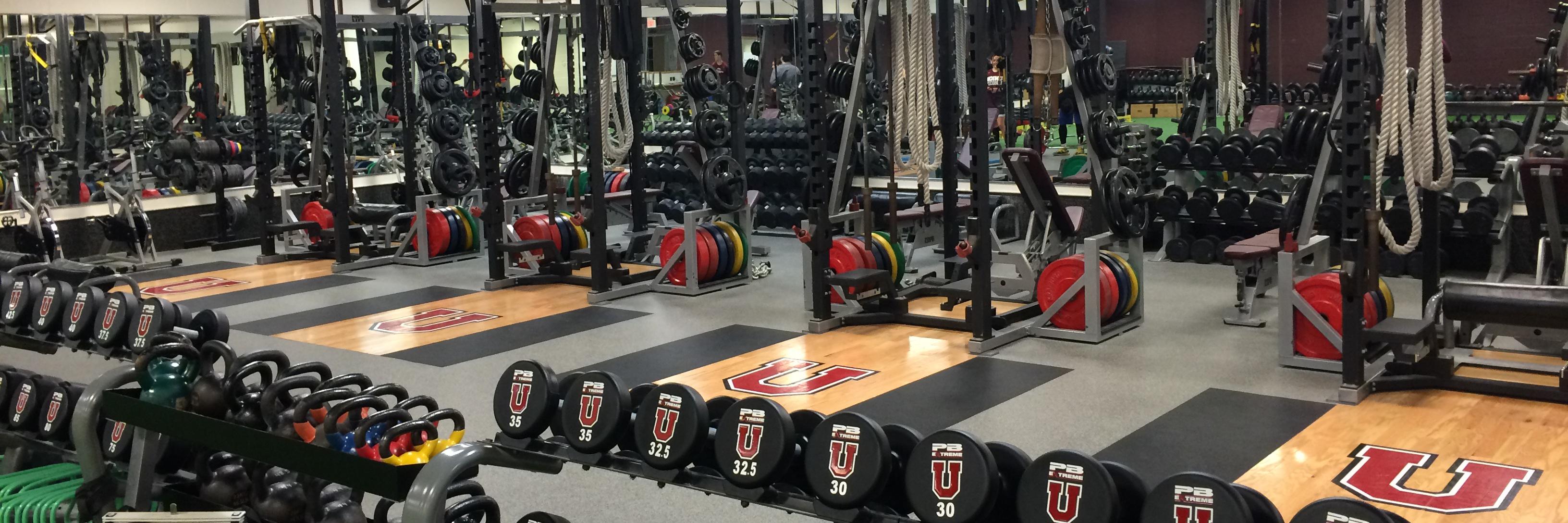 Dan Gabelman banner