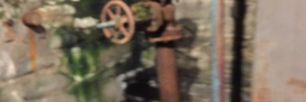autogynefiles Profile Banner