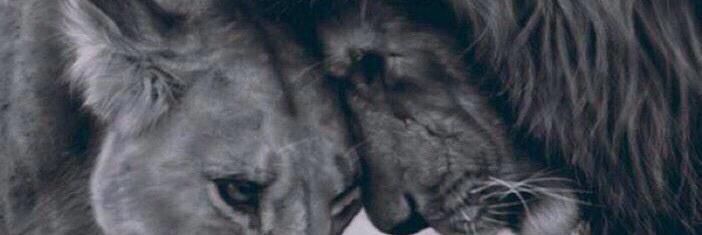 rdmacey's profile banner image