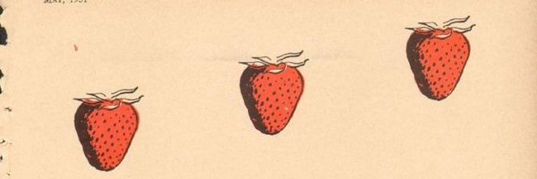 kchysmith Profile Banner