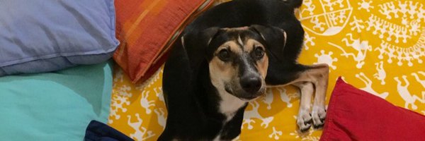 Aditiroys Profile Banner