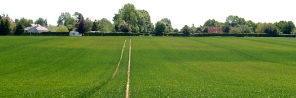 maxbecu Profile Banner