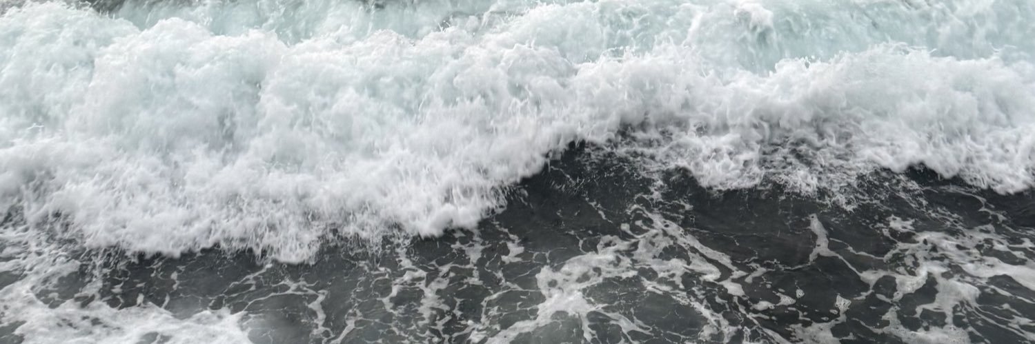 NU banner