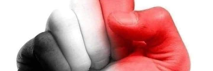 PLBB12's profile banner image
