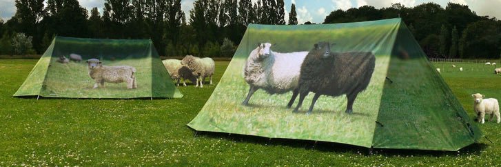 zör banner
