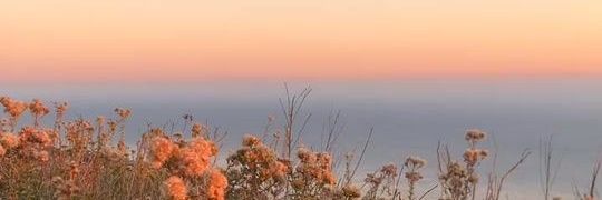 ciupaqbra's profile banner image