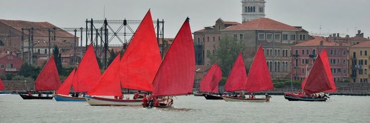 cardinaltedesco's profile banner image