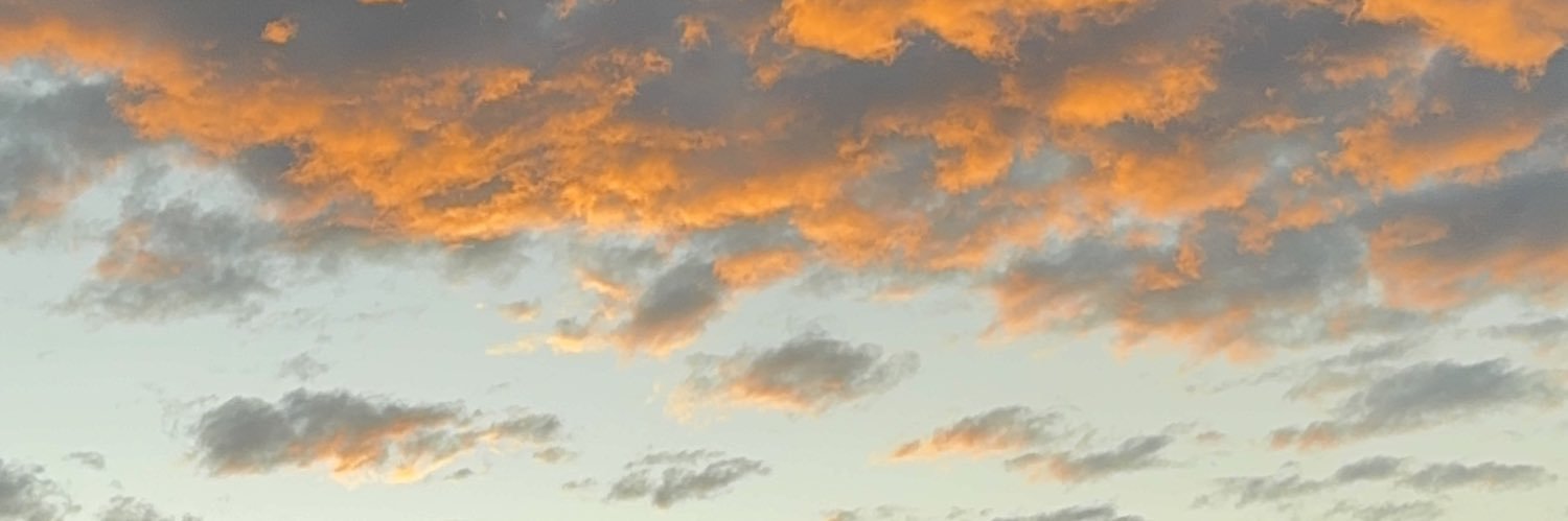 dgarfer2010's profile banner image