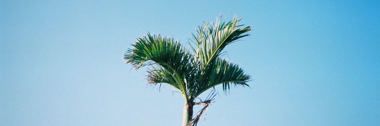 chon_make's profile banner image