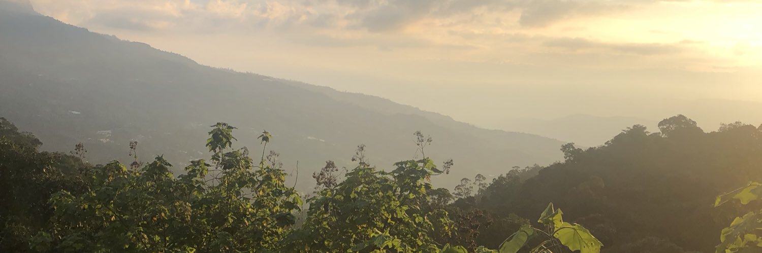 Guillermo Rivera banner