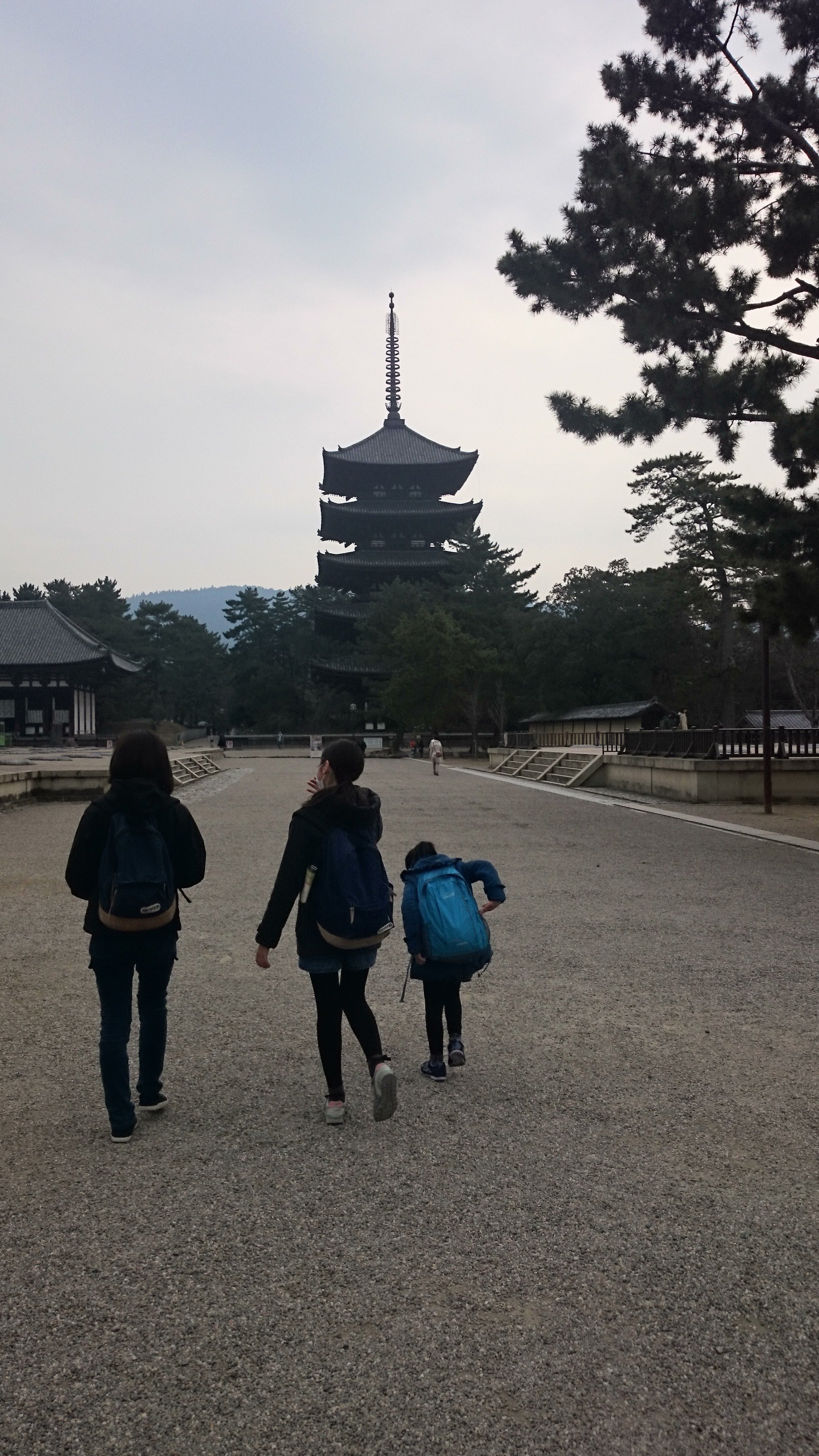 bambooonthehorse banner