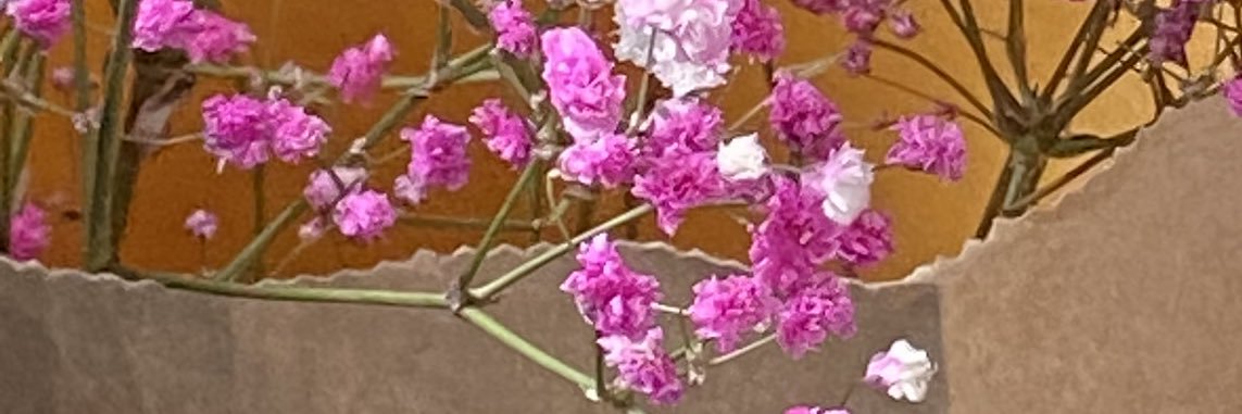 gardenfaeirie's profile banner image