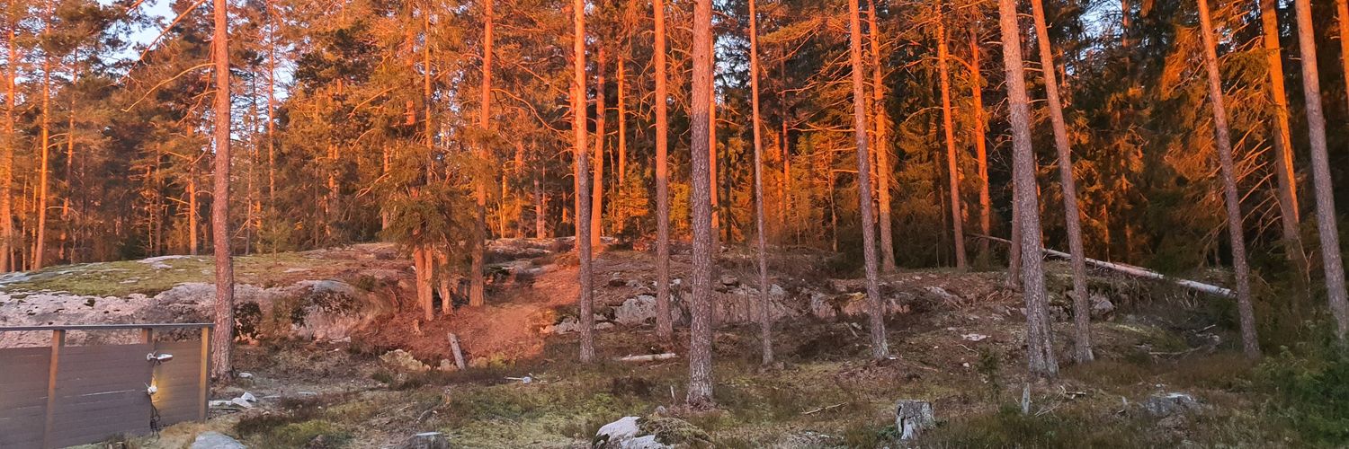 PekkaLieppinen's profile banner image