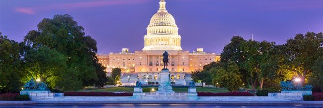 Robert Johnson banner