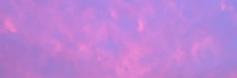 dyl banner