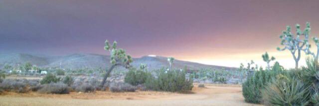 torioverrated's profile banner image