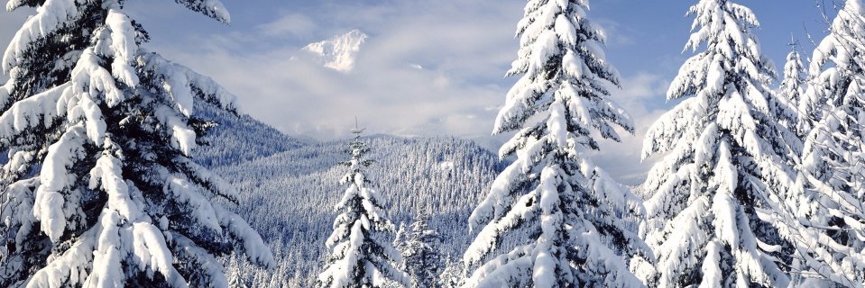 SlaveForSnow's profile banner image
