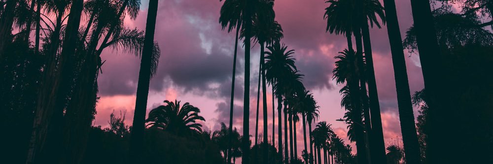 drthyfld's profile banner image