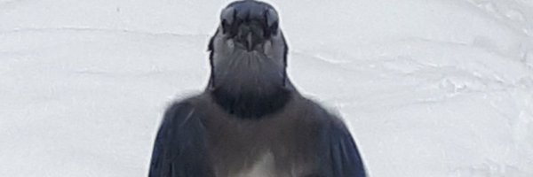 VetCanuck Profile Banner