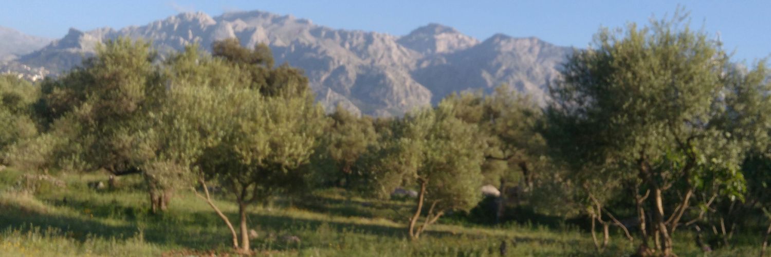 kherbadou's profile banner image