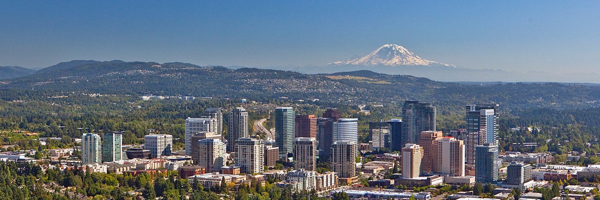 ScaleOut Software banner