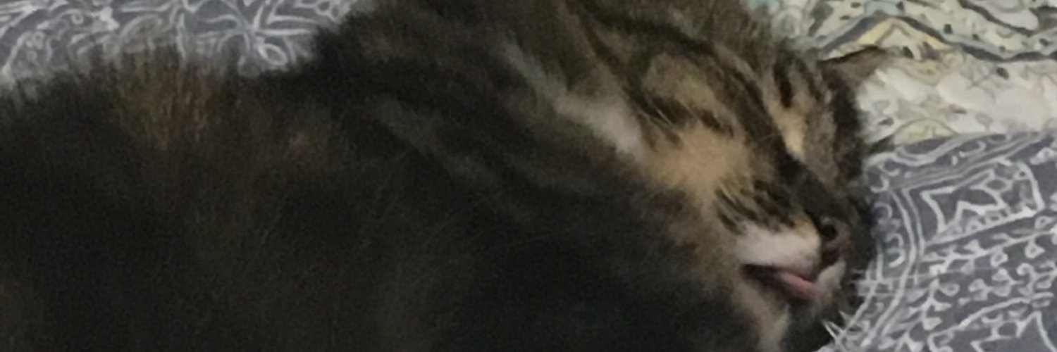 Louise Ryan banner