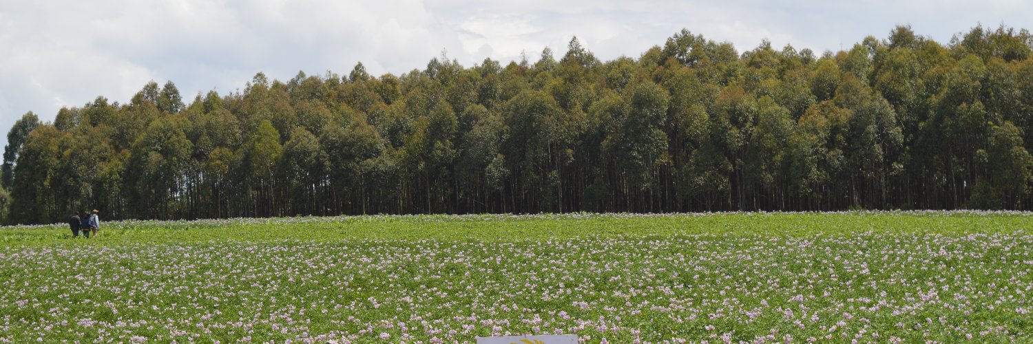 Francis Mureithi banner