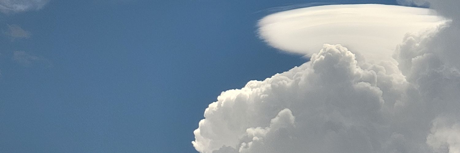 SilverWyvernYo's profile banner image