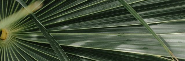 AnaSofiiaG's profile banner image