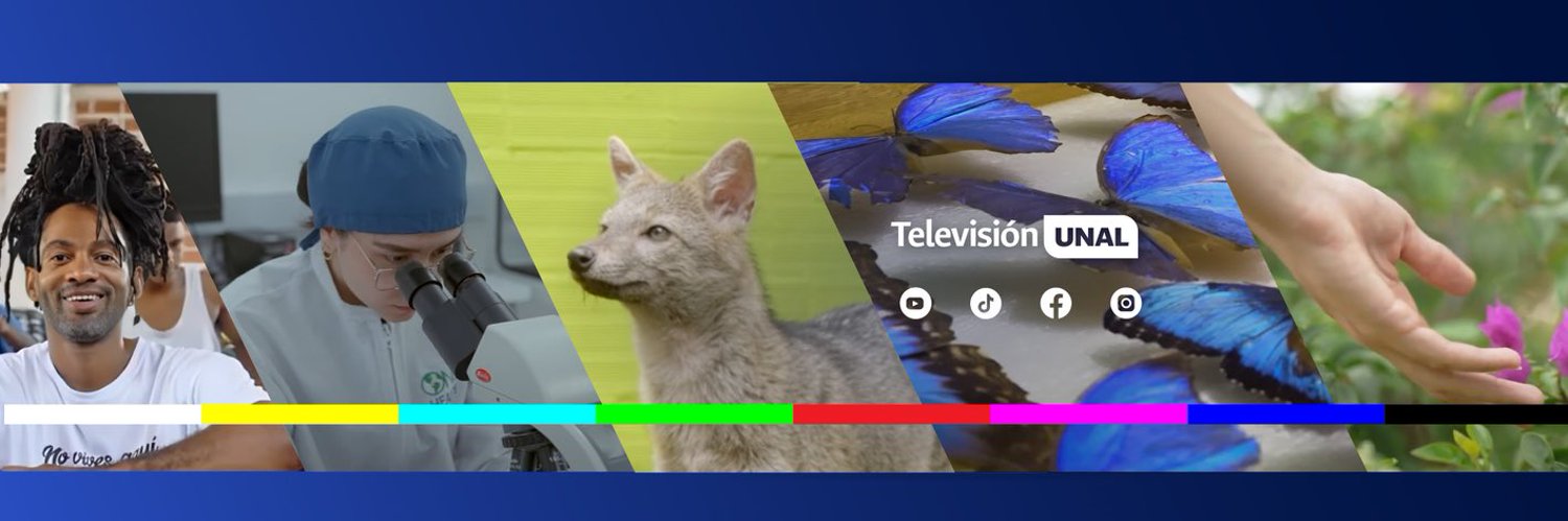 Televisión UNAL Profile Banner