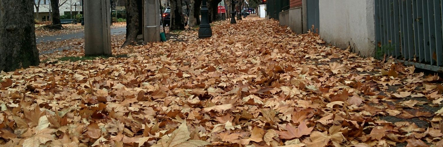 Enrique Pérez banner