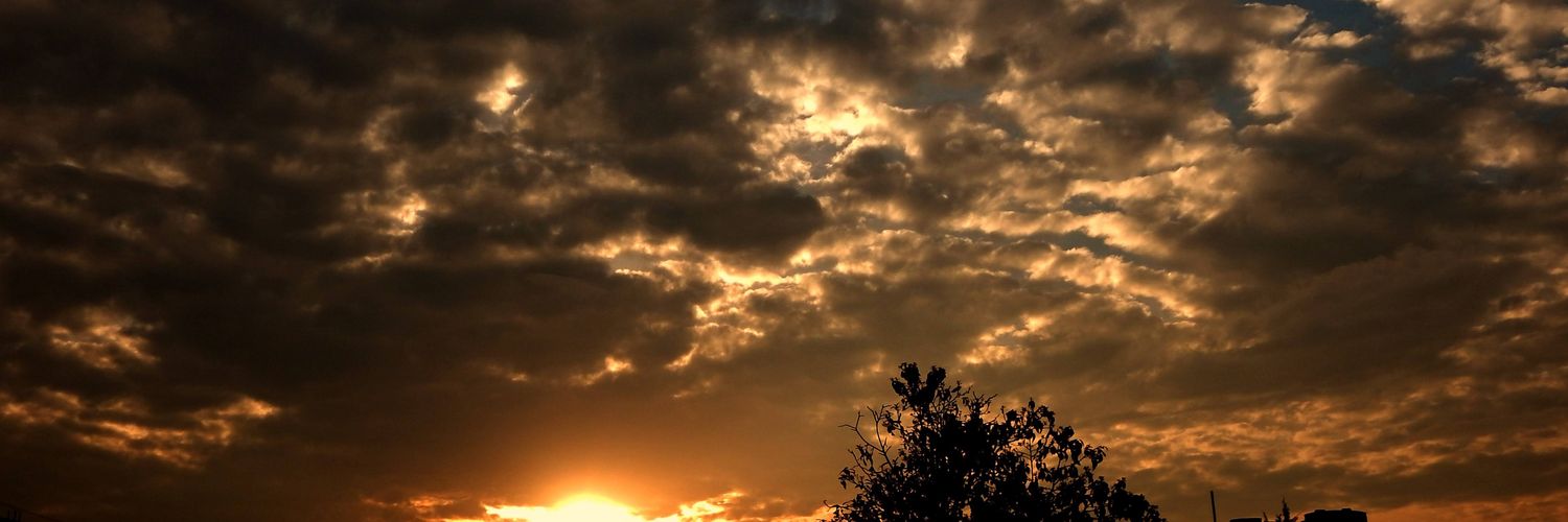 fran_dorela's profile banner image