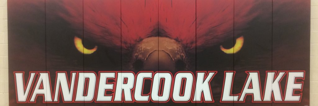 GoVCLVolleyball's profile banner image