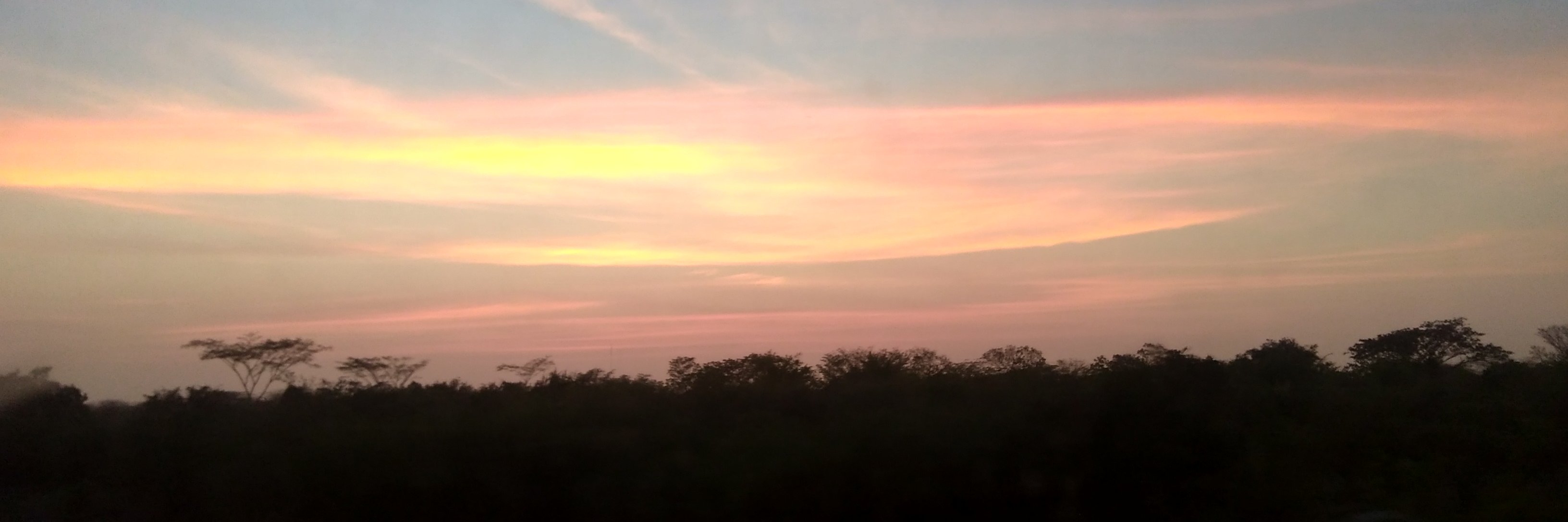 NanyJaraba's profile banner image