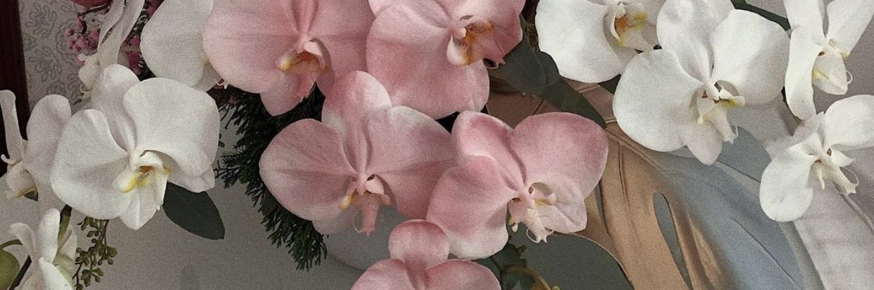 theaisyaaaa's profile banner image