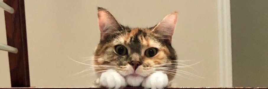 PlanetSandisan's profile banner image