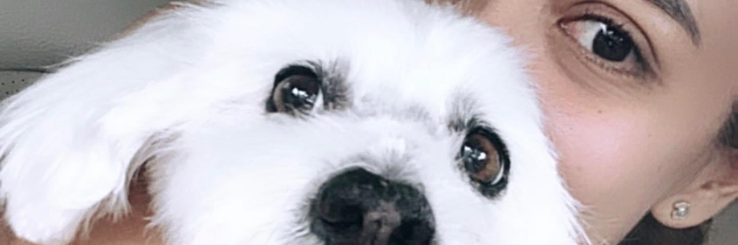 MonCorts3's profile banner image