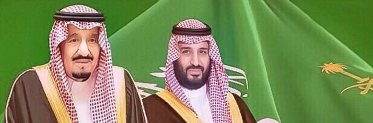 وطني الحبيب banner