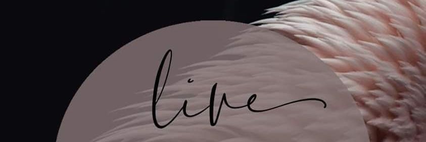 tsholoJP's profile banner image