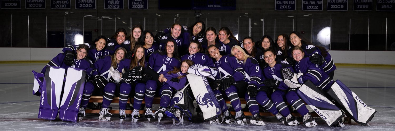 Amherst W Hockey banner