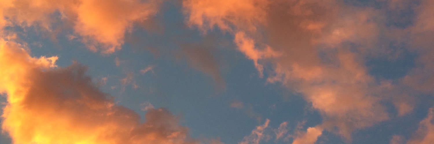 MeganStolz's profile banner image